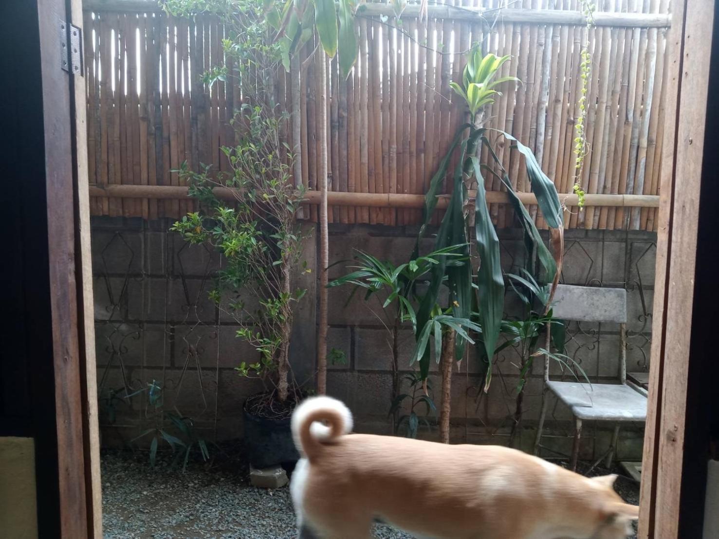 Imchai Pai Exterior foto
